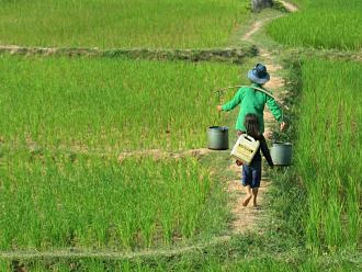 Projecte 2019 Cambodja