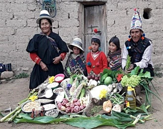 Projecte Iñao Bolívia
